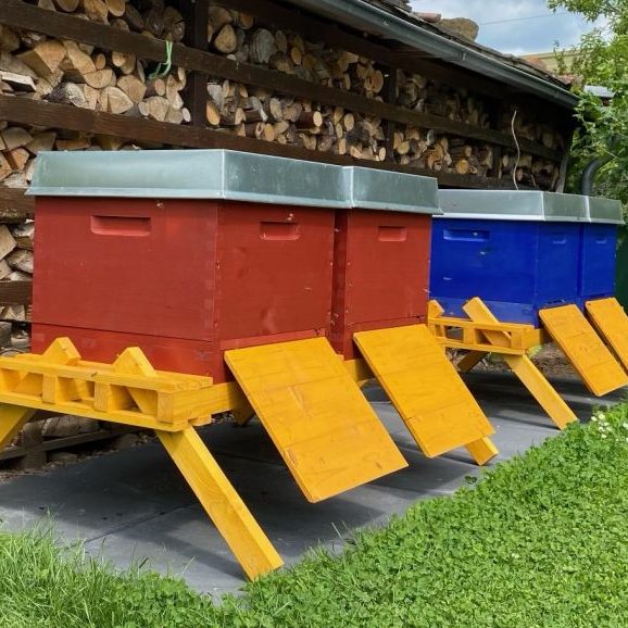Bunte Bienenbeuten der Imkerei ManuKu Honey